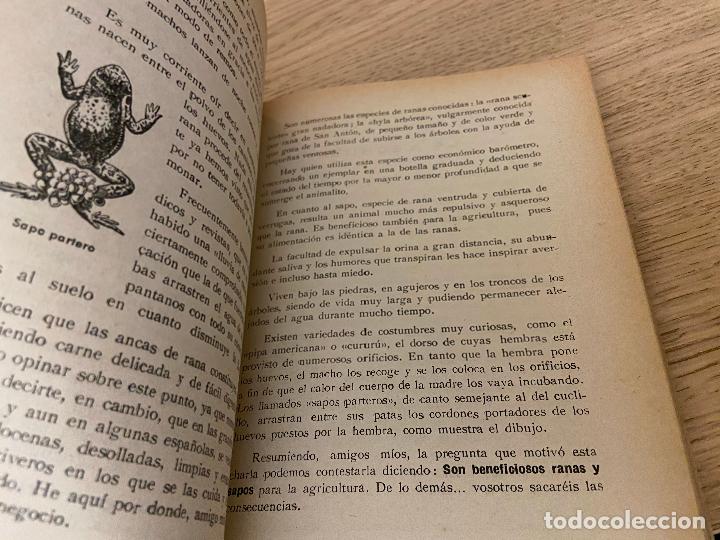 Libros de segunda mano: CHARLAS DEL CAMPO - LUIS R. ROYO - 1955 - Foto 12