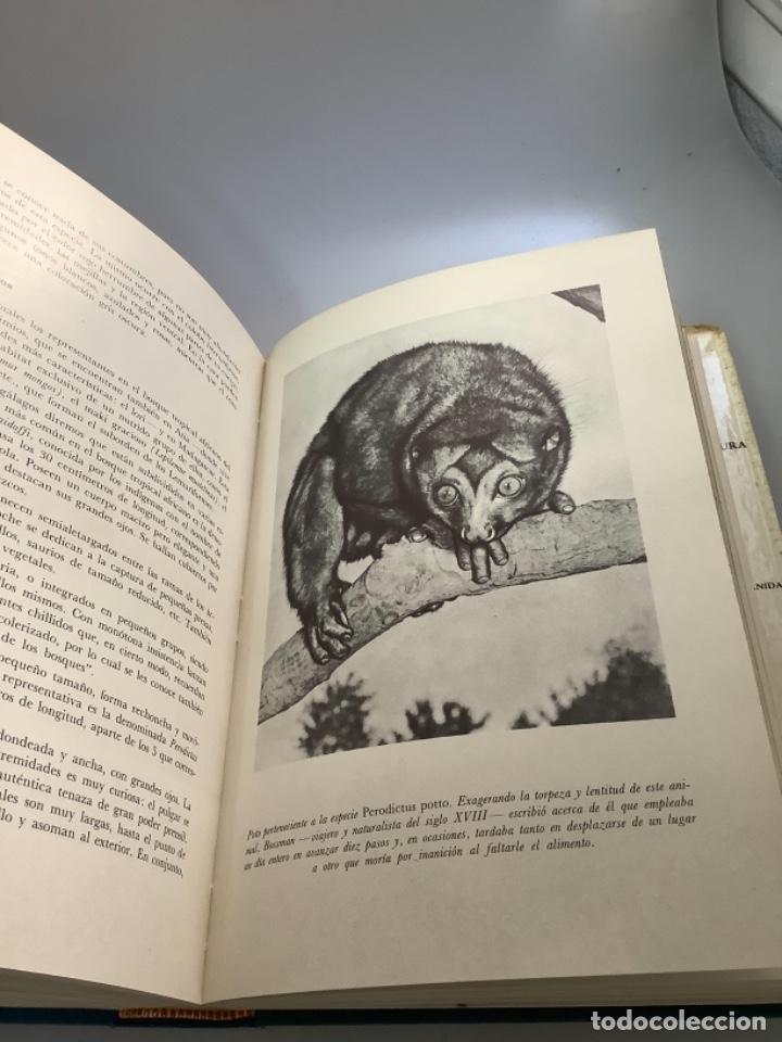 Libros de segunda mano: EL MUNDO VIVIENTE-ANTONIO JONCH - Foto 2