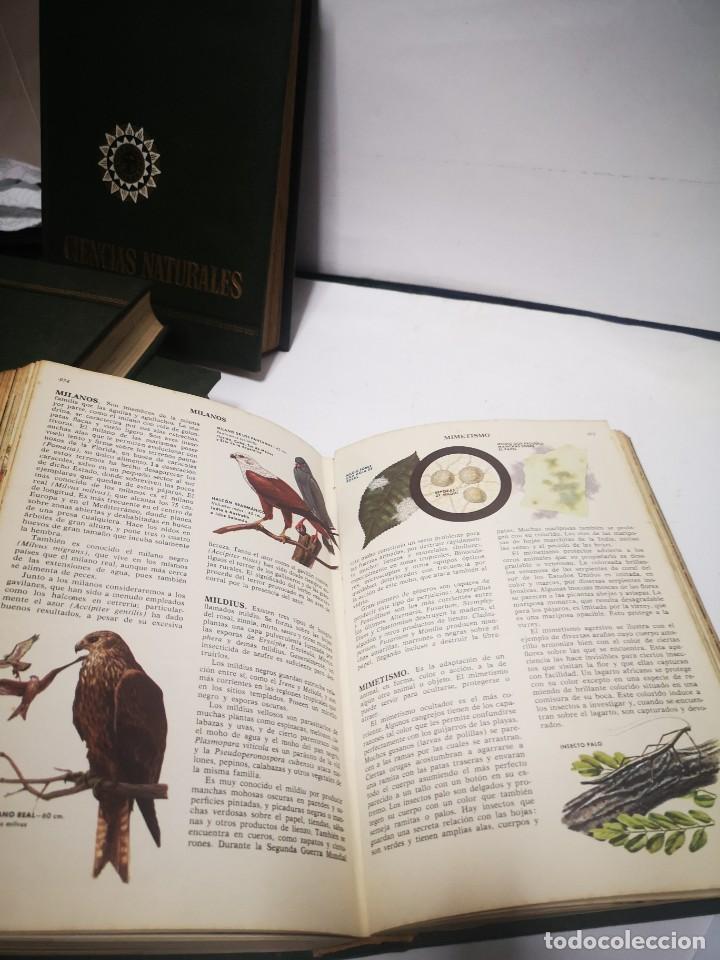 Libros de segunda mano: Libros Ciencias Naturales,Bruguera - Foto 2