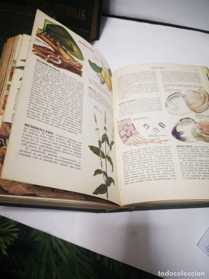 Libros de segunda mano: Libros Ciencias Naturales,Bruguera - Foto 3