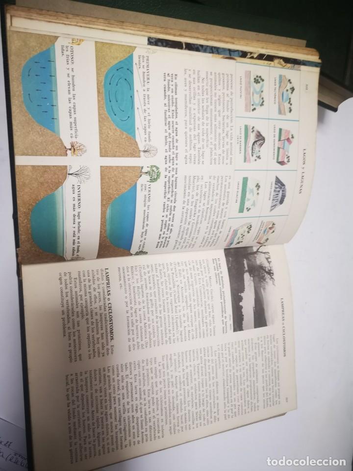 Libros de segunda mano: Libros Ciencias Naturales,Bruguera - Foto 4