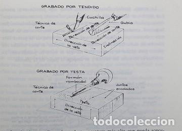 Libros de segunda mano: APRENDER A MIRAR: UNA INTRODUCCI&Oacute;N A LAS ARTES VISUALES. JOSHUA C. TAYLOR - Foto 3
