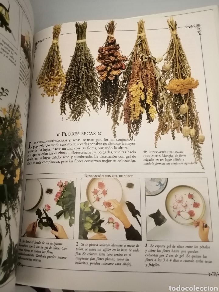 Libros de segunda mano: LA CASA PERFUMADA. GU&Iacute;A ILUSTRADA CON IDEAS PARA PERFUMAR Y DECORAR EL HOGAR (PRIMERA EDICI&Oacute;N) - Foto 6