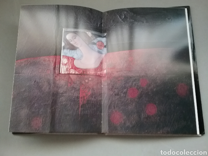 Libros de segunda mano: Vilasis Capalleja. Francesc Miralles editorial Ausa. - Foto 6