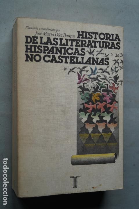 Libros de segunda mano: HISTORIA DE LAS LITERATURAS HISPANICAS NO CASTELLANAS. JOSE MAR&Iacute;A D&Iacute;EZ BORQUE