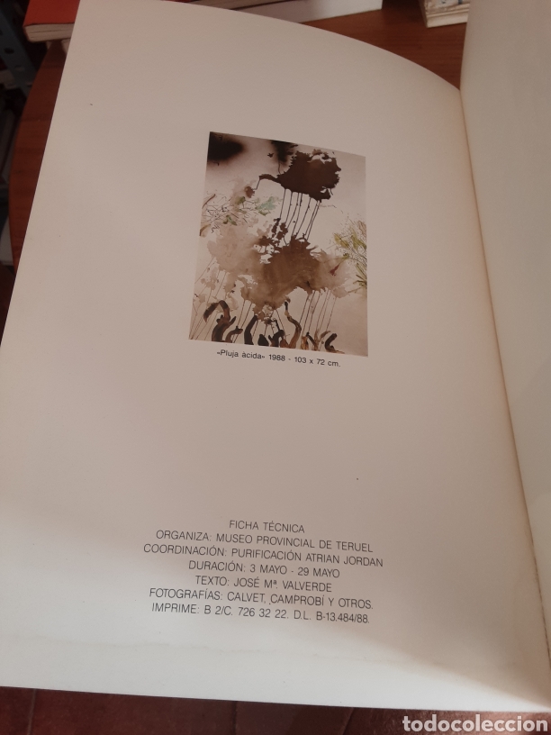 Libros de segunda mano: Museo Provincial de Teruel. Grau-Garriga. Tapices y dibujos - Foto 8