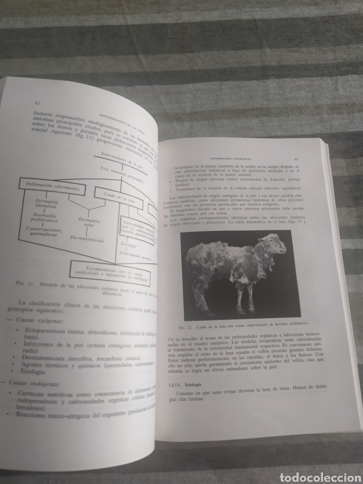 Libros de segunda mano: Enfermedades de la oveja TH. HIEPE - Foto 4