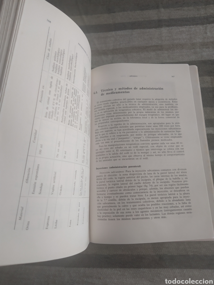 Libros de segunda mano: Enfermedades de la oveja TH. HIEPE - Foto 5
