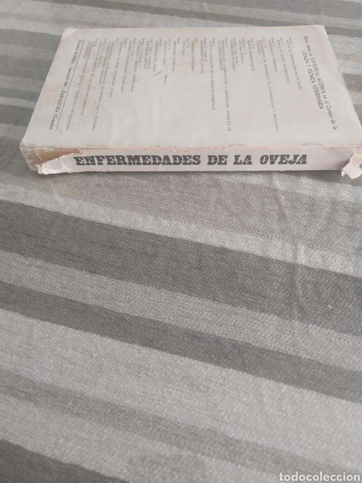 Libros de segunda mano: Enfermedades de la oveja TH. HIEPE - Foto 7