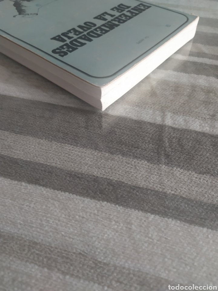 Libros de segunda mano: Enfermedades de la oveja TH. HIEPE - Foto 8