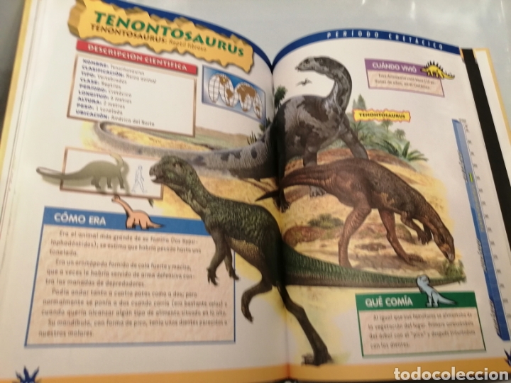 Libros de segunda mano: EL GRAN LIBRO DE LOS DINOSAURIOS - Foto 6