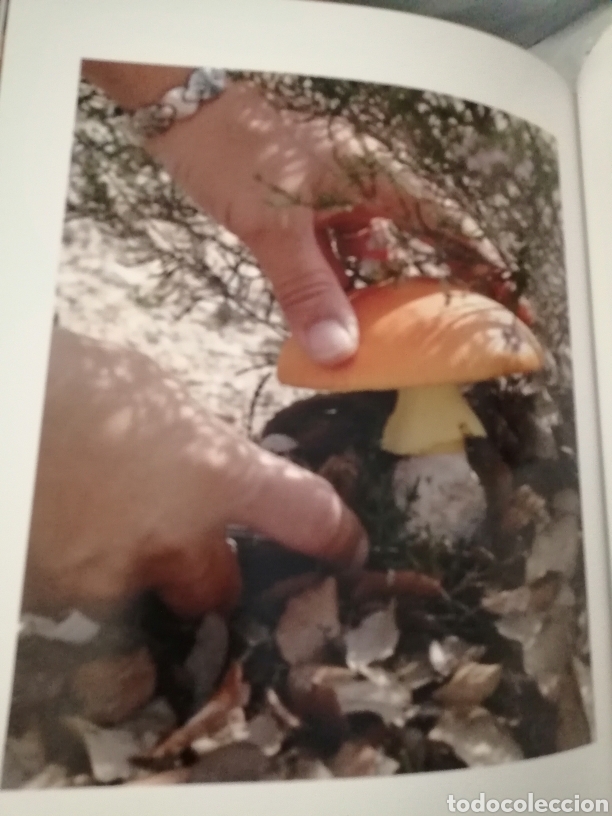 Libros de segunda mano: TOSSA, REFUGI DE COLORS (PRIMERA EDICI&Oacute;) - Foto 8