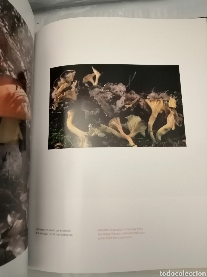 Libros de segunda mano: TOSSA, REFUGI DE COLORS (PRIMERA EDICI&Oacute;) - Foto 9