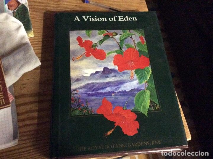 Gebrauchte B&uuml;cher: a vision of eden the life and work of Marianne North ilustraciones maravillosas