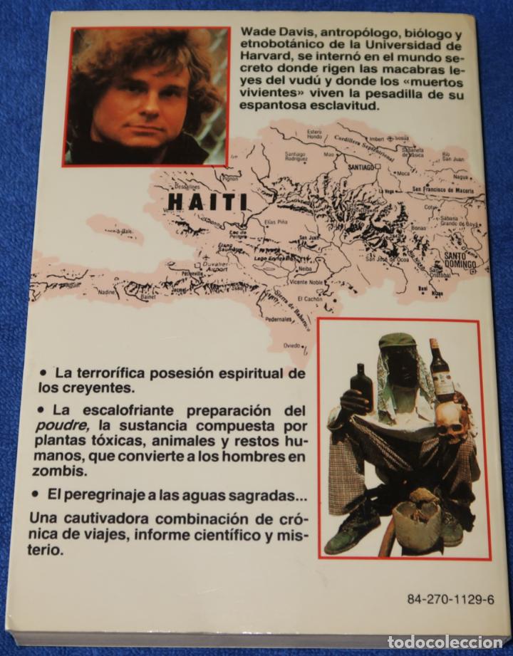 Libros de segunda mano: El enigma Zombi - Wade Davis - Mart&iacute;nez Roca (1987) - Foto 3