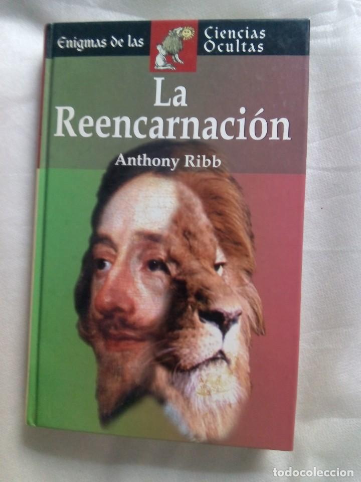 Libros de segunda mano: LA REENCARNACI&Oacute;N / ANTHONY RIBB - Foto 1