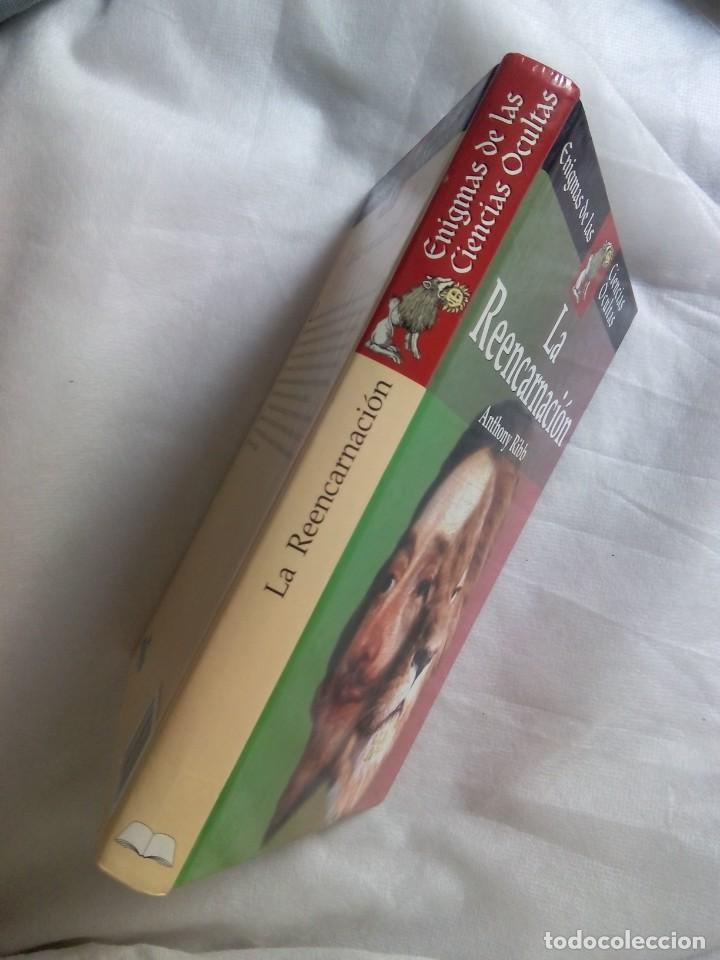 Libros de segunda mano: LA REENCARNACI&Oacute;N / ANTHONY RIBB - Foto 3