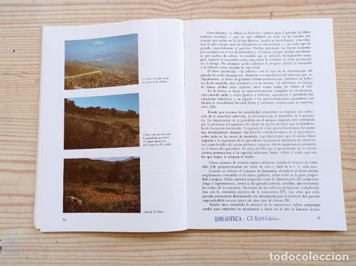 Libros de segunda mano: Los Pueblos De La Provincia De Cadiz - Algodonales - Foto 5