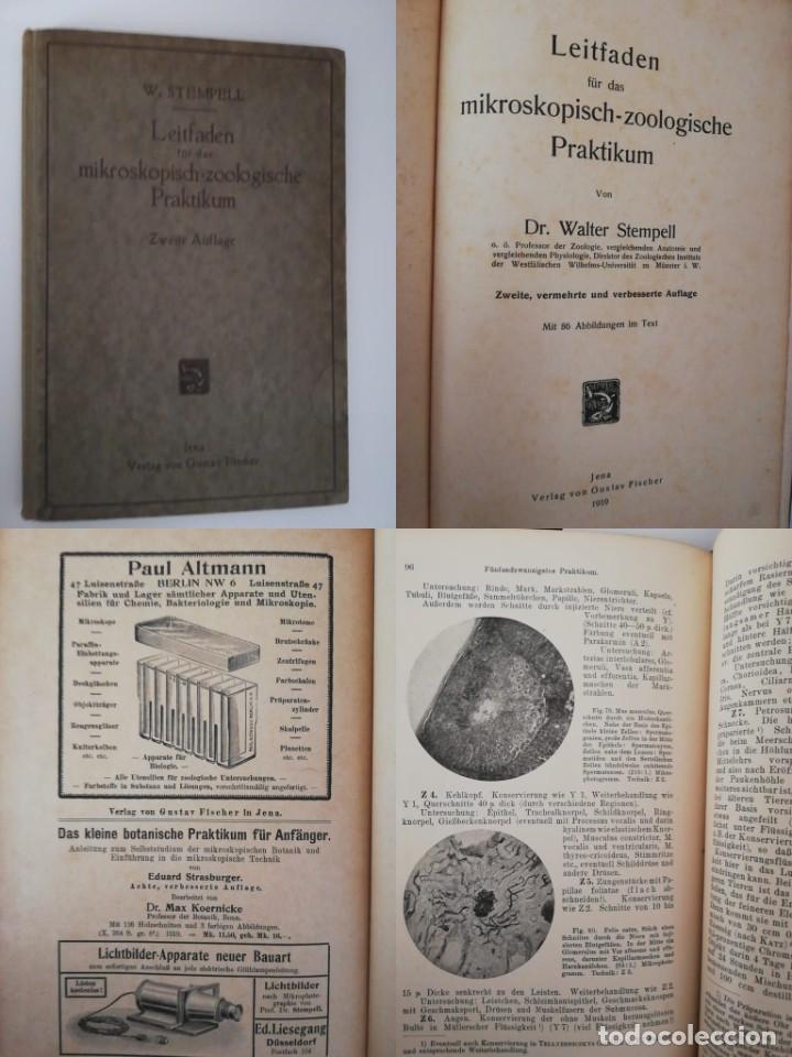 Libri di seconda mano: Leitfaden f&uuml;r das mikroskopisch-zoologische Praktikum. 1919 zweite auflage (2&ordf; ed)