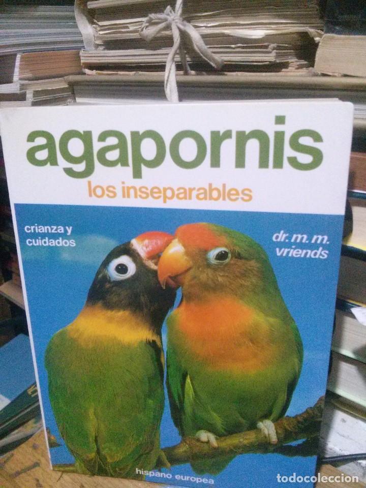 Libros de segunda mano: AGAPORNIS, LOS INSEPARABLES, ED. HISPANO EUROPEA - Foto 1