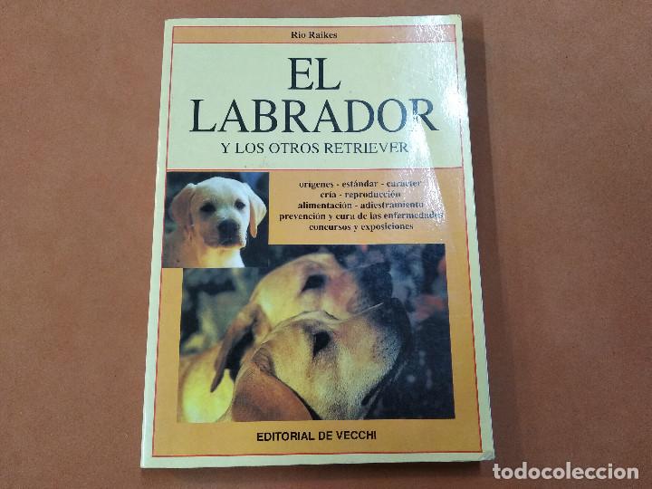 Libros de segunda mano: el labrador y los otros retriever - editorial vecchi - AN2 - Foto 1
