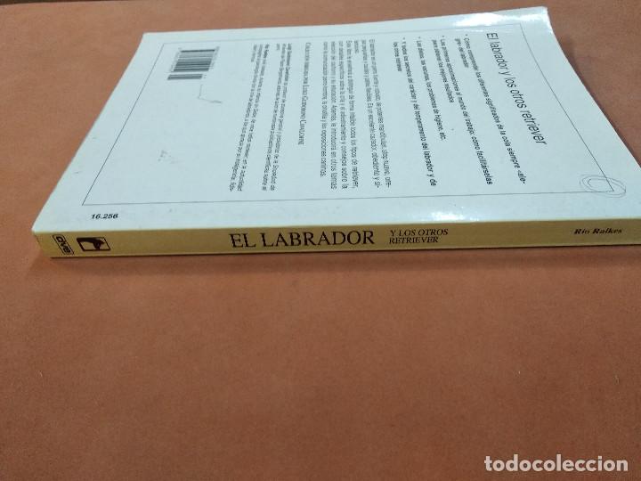 Libros de segunda mano: el labrador y los otros retriever - editorial vecchi - AN2 - Foto 4