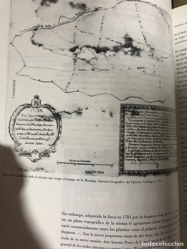 Libros de segunda mano: Carlos III. Alcalde de Madrid - Foto 5