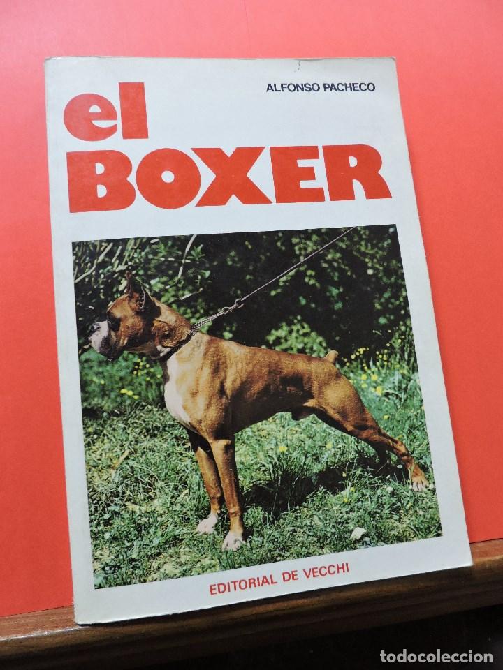 Libros de segunda mano: El boxer. PACHECO, Alfonso. Editorial de Vecchi 1979 - Foto 1