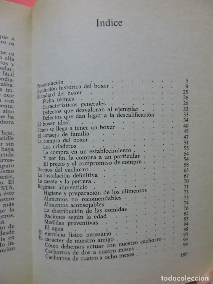 Libros de segunda mano: El boxer. PACHECO, Alfonso. Editorial de Vecchi 1979 - Foto 2