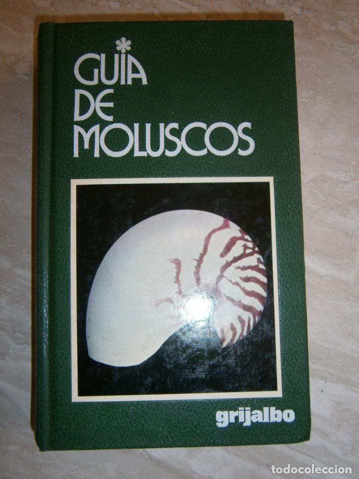 Libros de segunda mano: GUIA DE MOLUSCOS - L1 - Foto 1