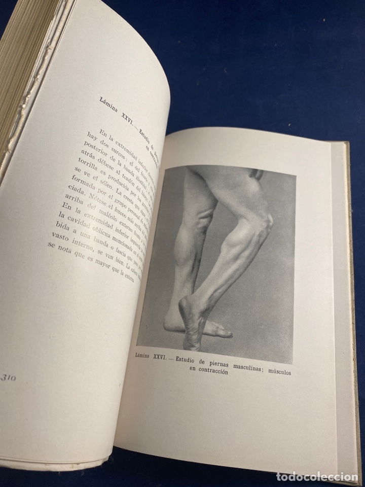 Libros de segunda mano: ANATOM&Iacute;A ART&Iacute;STICA - Foto 3