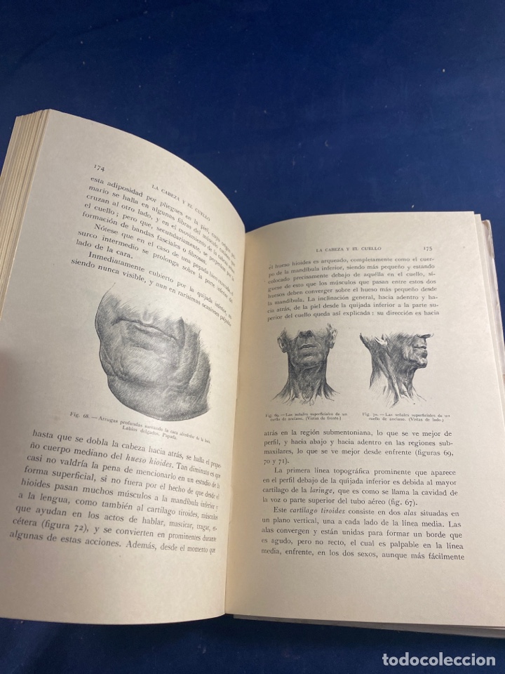Libros de segunda mano: ANATOM&Iacute;A ART&Iacute;STICA - Foto 4