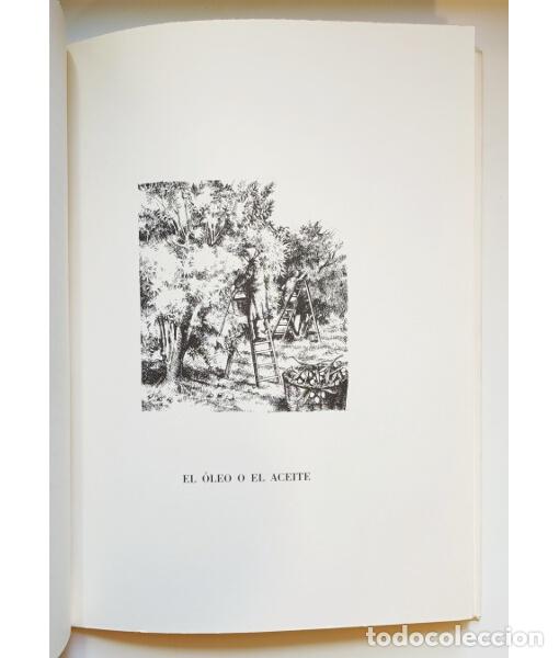 Libros de segunda mano: S&Iacute;MBOLOS . LLID&Oacute;, Ram&oacute;n. Autoedici&oacute;n. 1991. - Foto 4