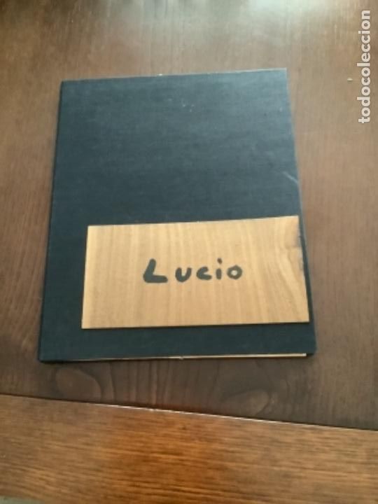 Libros de segunda mano: Libro de Arte.Lucio Mu&ntilde;oz - Foto 1