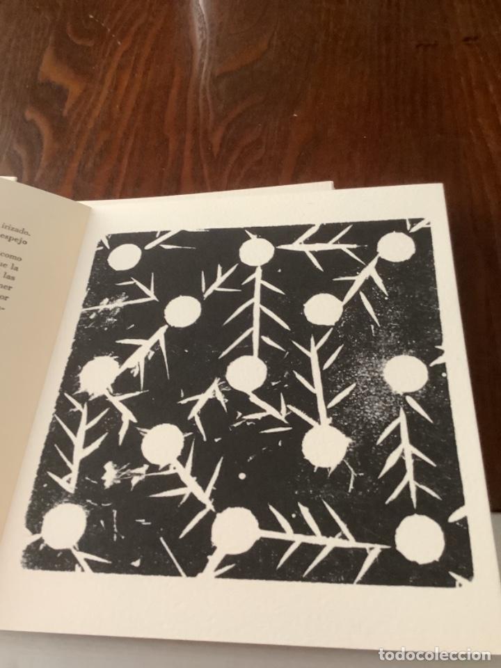 Libros de segunda mano: Libro de Arte.Frederic Amat - Foto 4