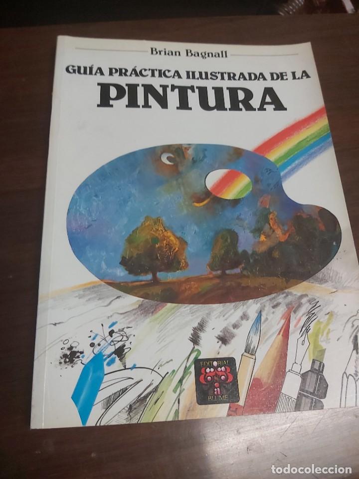 Libros de segunda mano: GUIA PRACTICA ILUSTRADA DE LA PINTURA. BRIAN BAGNALI.