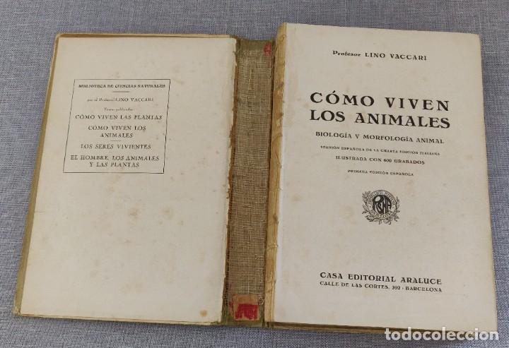 Libros de segunda mano: Libro Como Viven Los Animales. - Foto 2