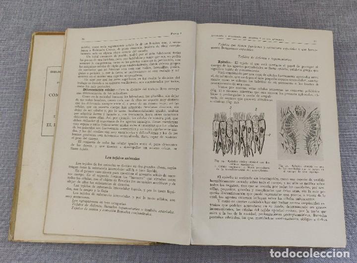 Libros de segunda mano: Libro Como Viven Los Animales. - Foto 3