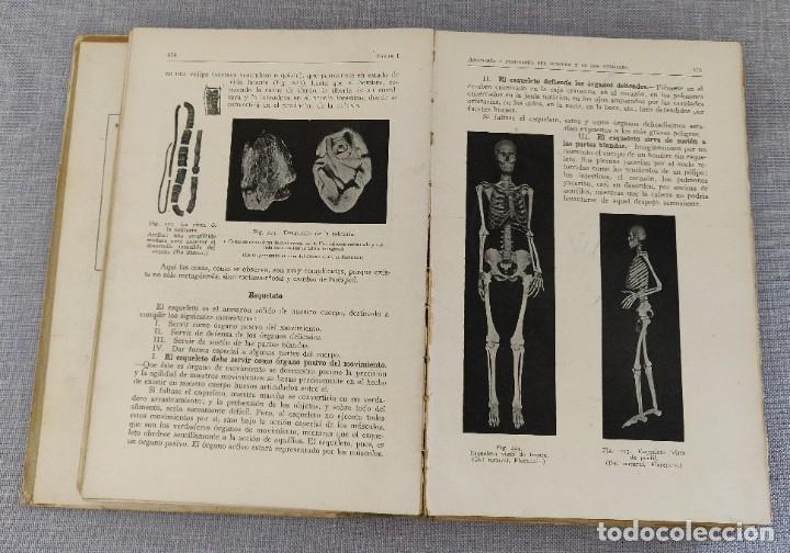 Libros de segunda mano: Libro Como Viven Los Animales. - Foto 4