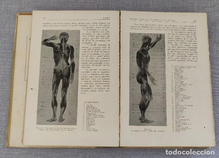 Libros de segunda mano: Libro Como Viven Los Animales. - Foto 5