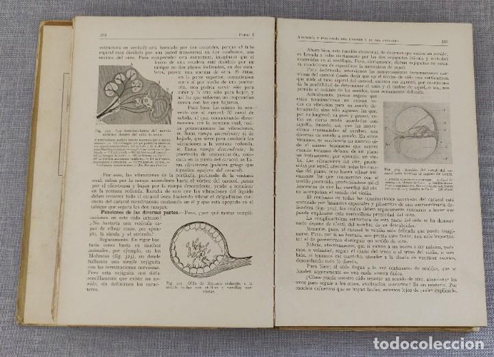 Libros de segunda mano: Libro Como Viven Los Animales. - Foto 6