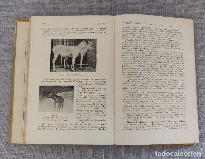 Libros de segunda mano: Libro Como Viven Los Animales. - Foto 7