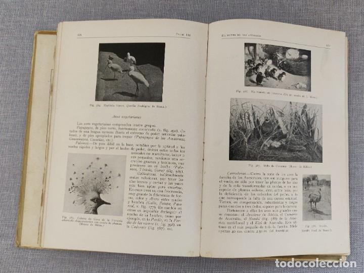Libros de segunda mano: Libro Como Viven Los Animales. - Foto 8