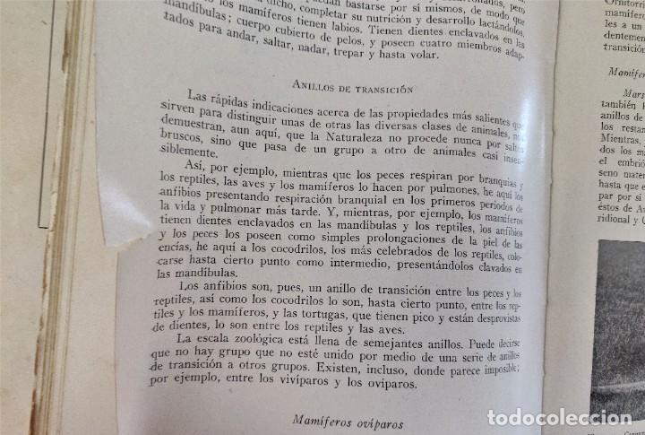 Libros de segunda mano: Libro Como Viven Los Animales. - Foto 9