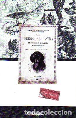 Libros de segunda mano: DE LA RUE, A. Y BELLECROIX, ERNESTO, PERROS DE MUESTRA, FACSI-192 - Foto 1