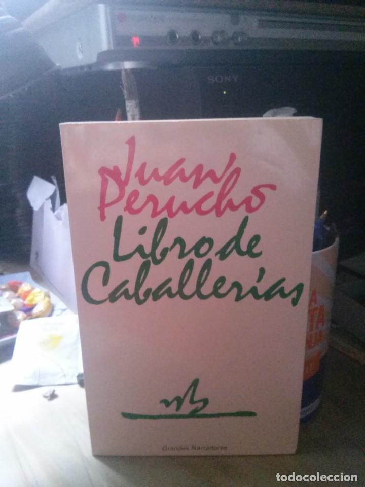 Libros de segunda mano: LIVRO DE CABALLERIA, JUAN PERUCHS, ED. PLANETA - Foto 1
