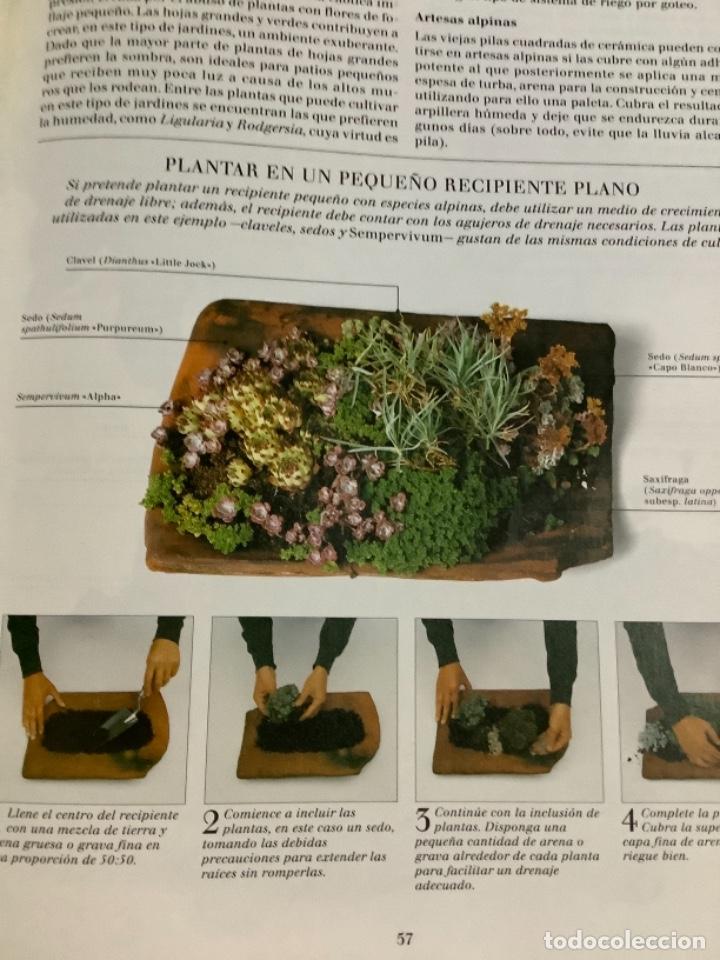 Libros de segunda mano: Guía completa de jardinería en macetas. Libro. Editorial Blume. Jardinería. - Foto 4 - 269486008