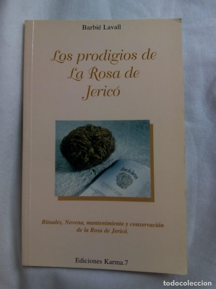 Libros de segunda mano: LOS PRODIGIOS DE LA ROSA DE JERIC&Oacute; / BARBI&Egrave; LAVALL - Foto 1