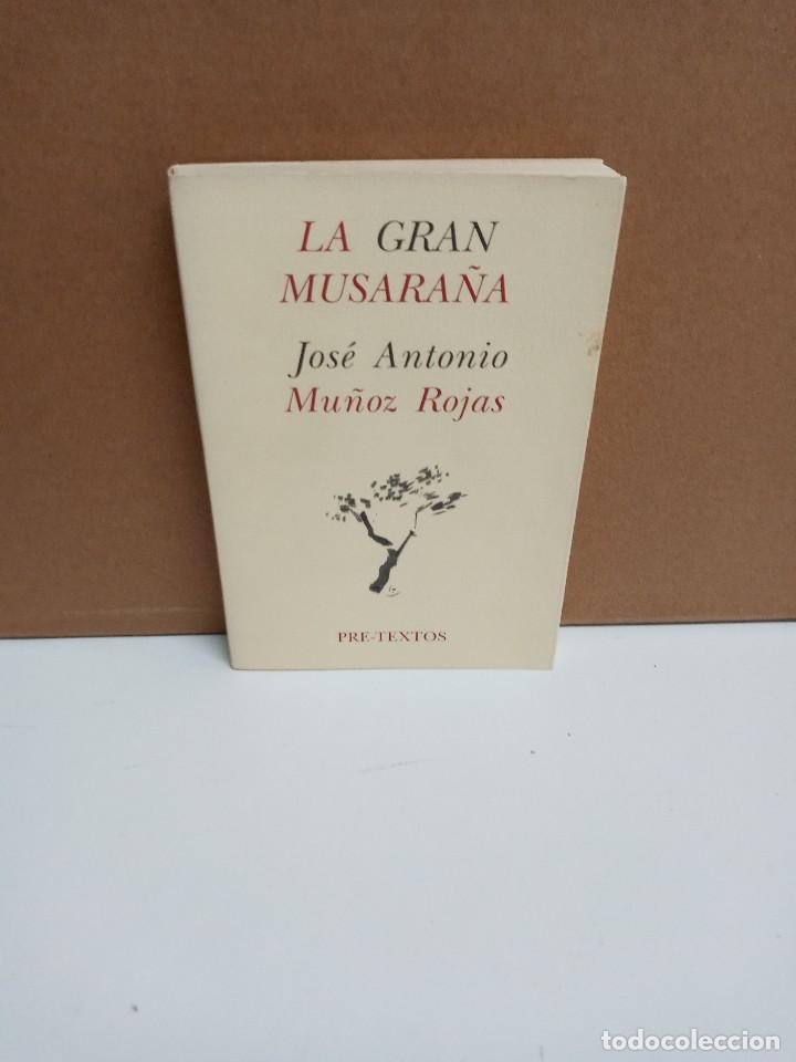 Libros de segunda mano: Jos&eacute; Antonio Mu&ntilde;oz Rojas - La gran musara&ntilde;a - Pre-Textos - Foto 1