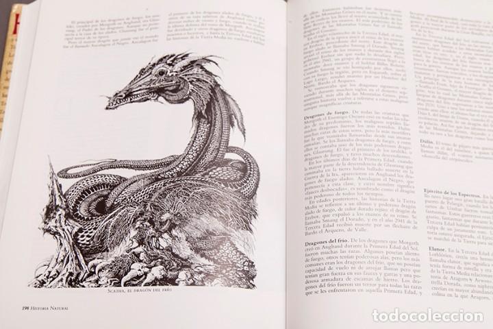 Libros de segunda mano: TOLKIEN, ENCICLOPEDIA ILUSTRADA - DAVID DAY - TIMUN MAS - Foto 15